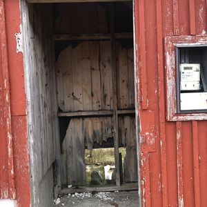 Ejendom B-579  3921 Narsaq